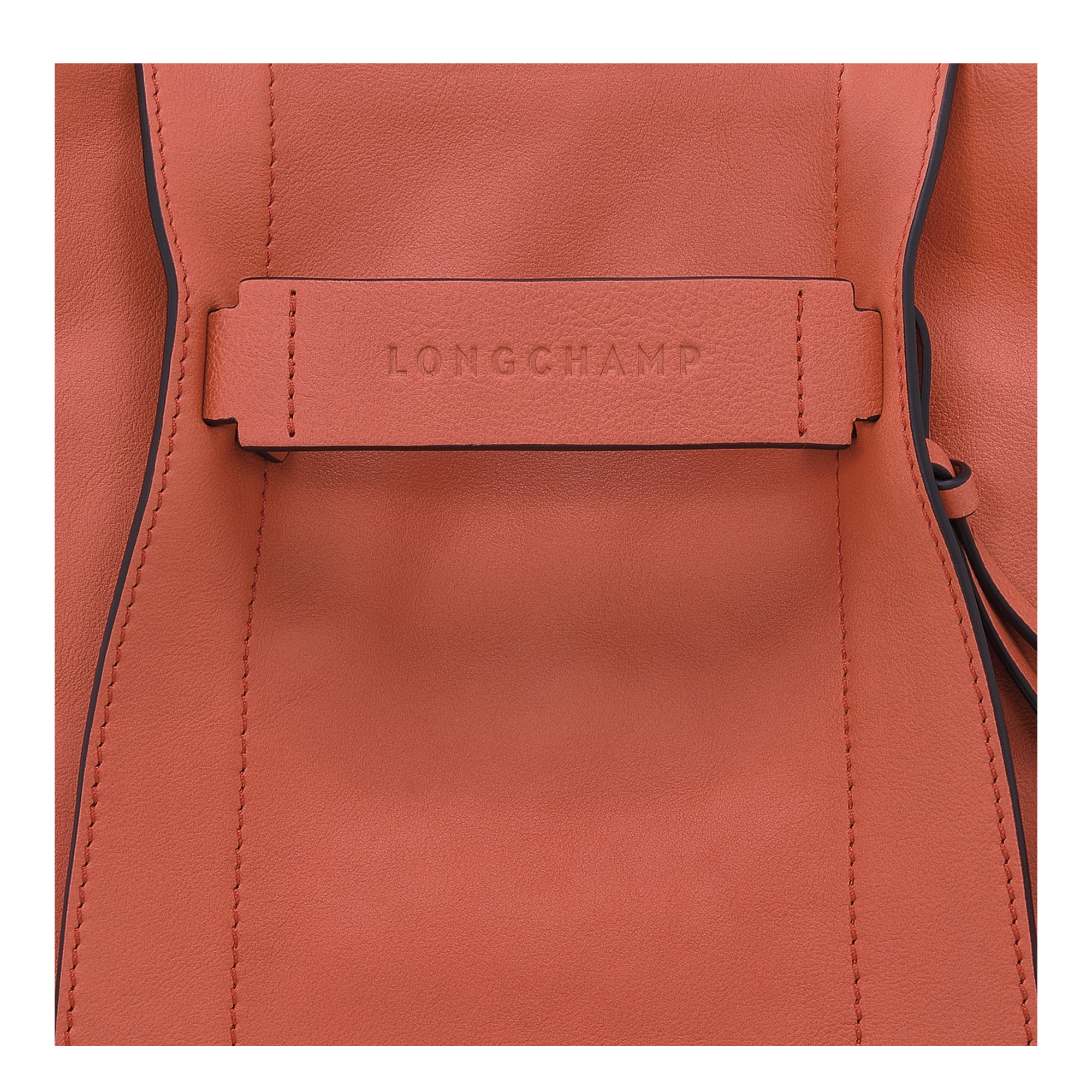 Longchamp 3D 斜背袋 S, 赭黃色