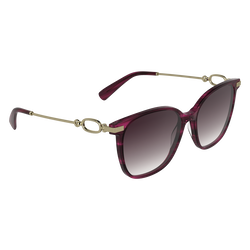 Sunglasses , Striped purple - Acetate
