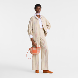 Le Pliage Collection Basket bag , Rainbow - Canvas