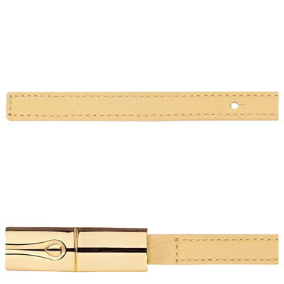 Archive Ladies' belt, Hay