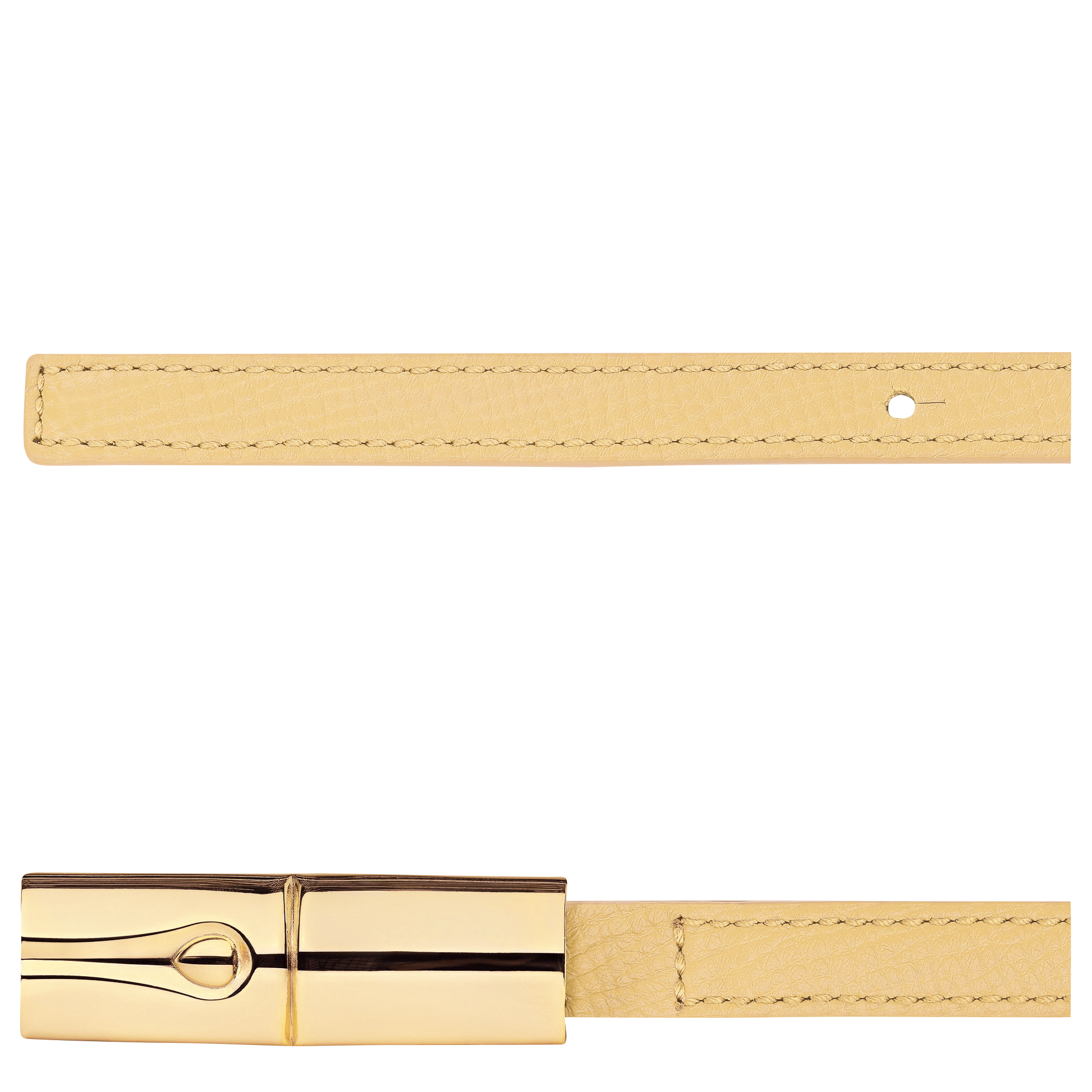 Archive Ladies' belt, Hay