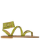 Kiwi Green