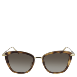 Lunettes Solaires