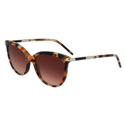 Gafas de sol , Otro - Ochre havana