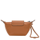 Caju