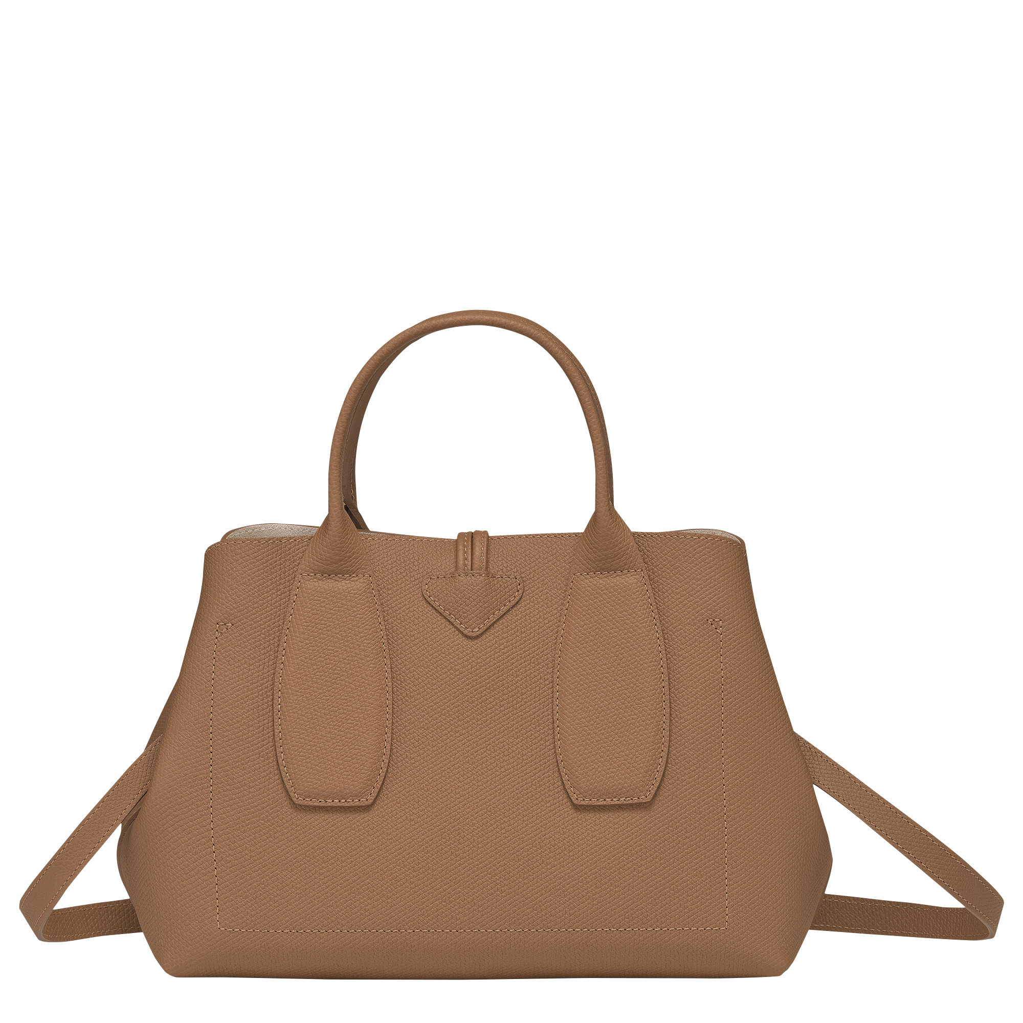 Longchamp `roseau Box` Small Handbag in Brown