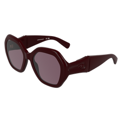 Sunglasses , Burgundy - OTHER