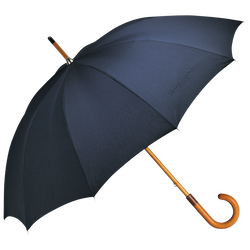 Walking stick umbrella