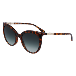 Gafas de sol , Otro - Concha