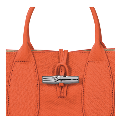 Roseau M Handbag Orange Leather Longchamp US