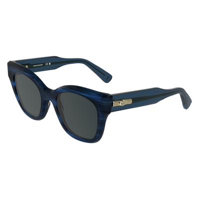 Sunglasses , Blue striped - OTHER