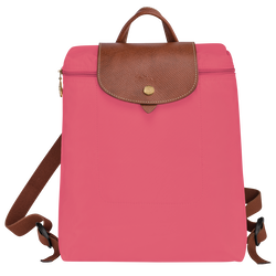 THE BAG REVIEW: LONGCHAMP LE PLIAGE POUCH WITH HANDLE IN GRENADINE & ROSE  PINK (SPRING 2023 COLORS) 