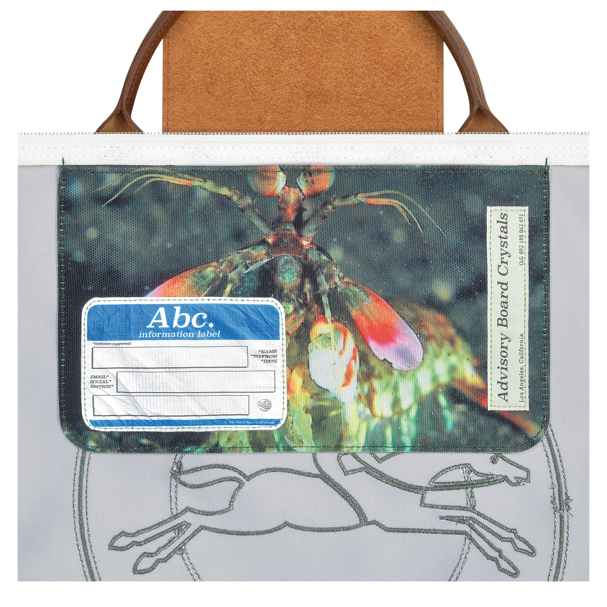 longchamp transparent bag