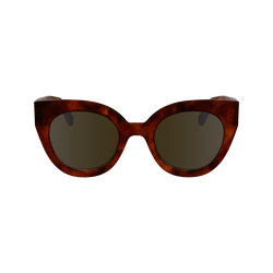 Sunglasses , Textured Brown - OTHER