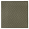  Lichene