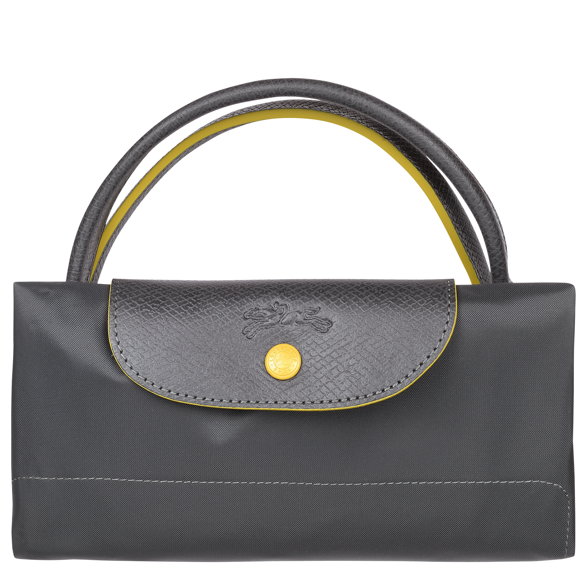 longchamp metallic bag