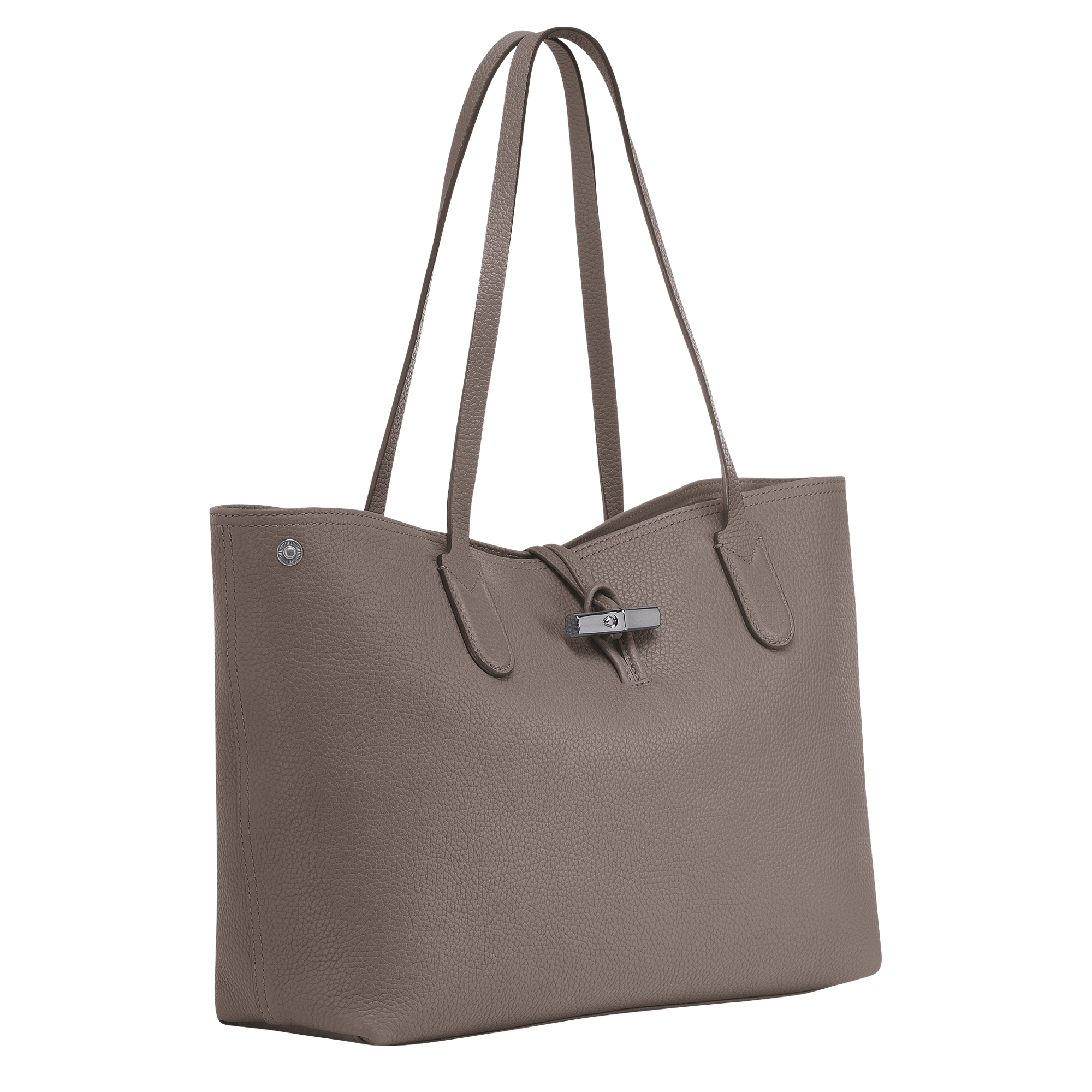sac roseau longchamp