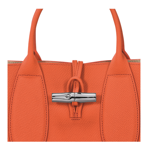 Le Roseau M Handbag , Orange - Leather - View 6 of  6