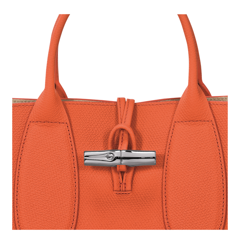 Le Roseau M Handbag , Orange - Leather  - View 6 of  6
