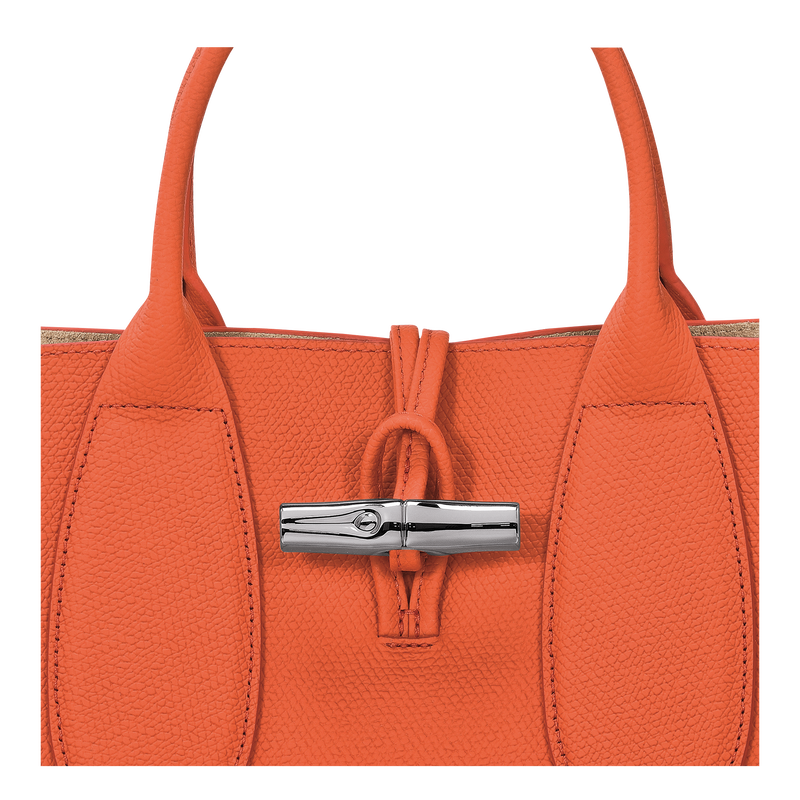 Roseau M Handbag , Orange - Leather  - View 6 of  6