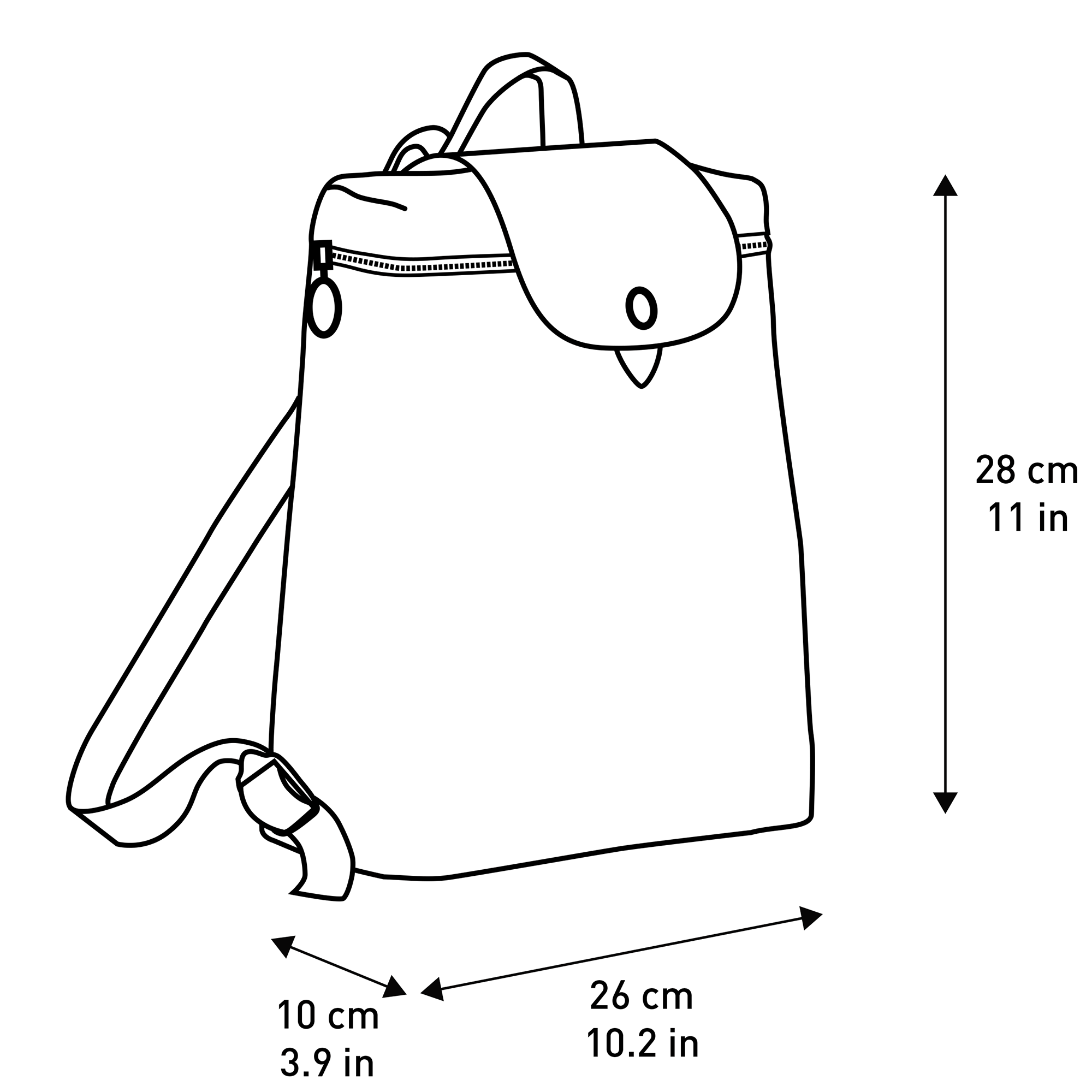 longchamp backpack size cm