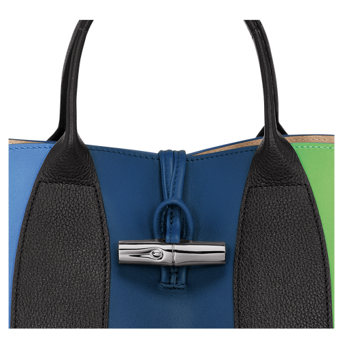 Roseau M Handbag , Multicolor - Leather - View 6 of 6