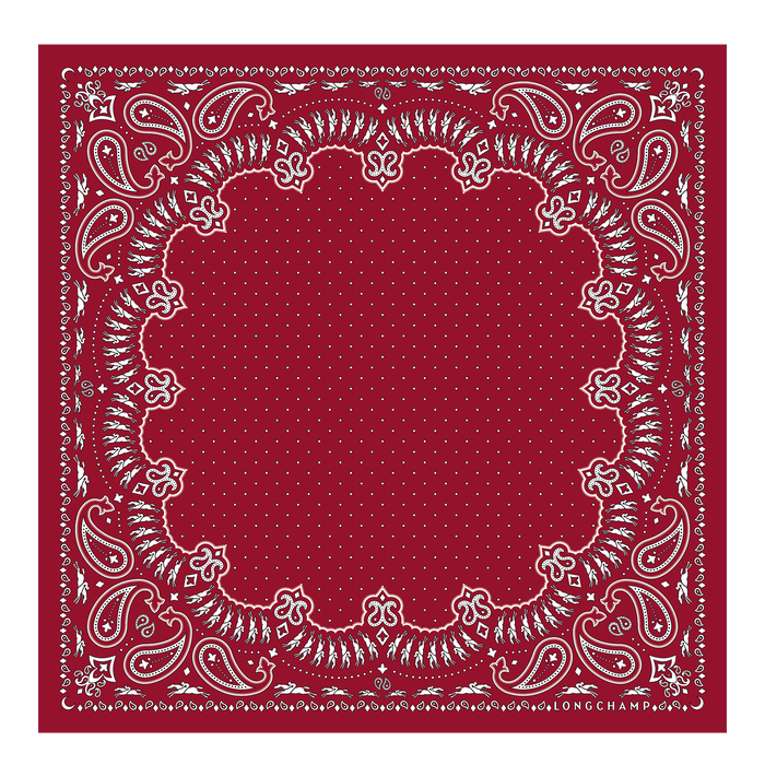 Fall-Winter 2022 Collection Silk scarf 50, Red