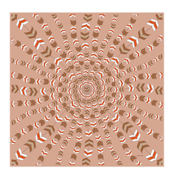 Damenschal