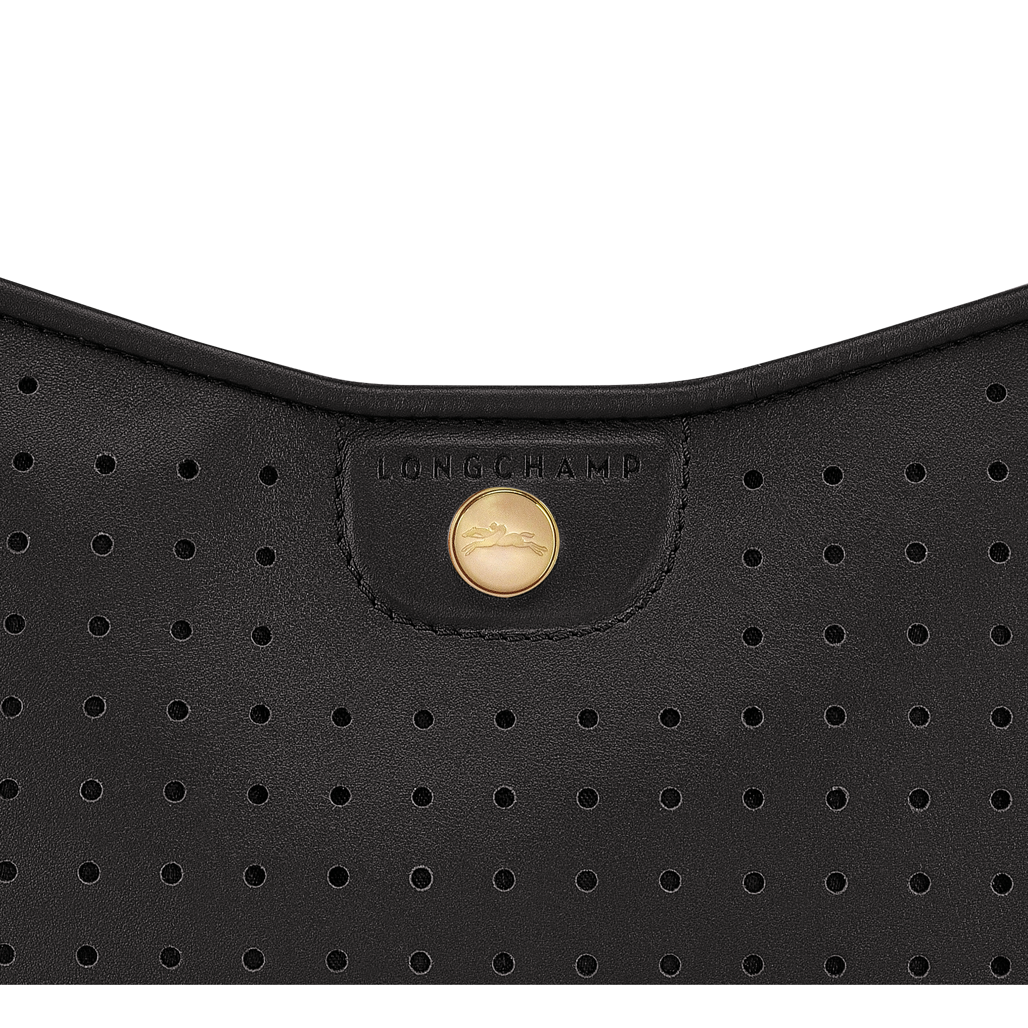 longchamp pouch