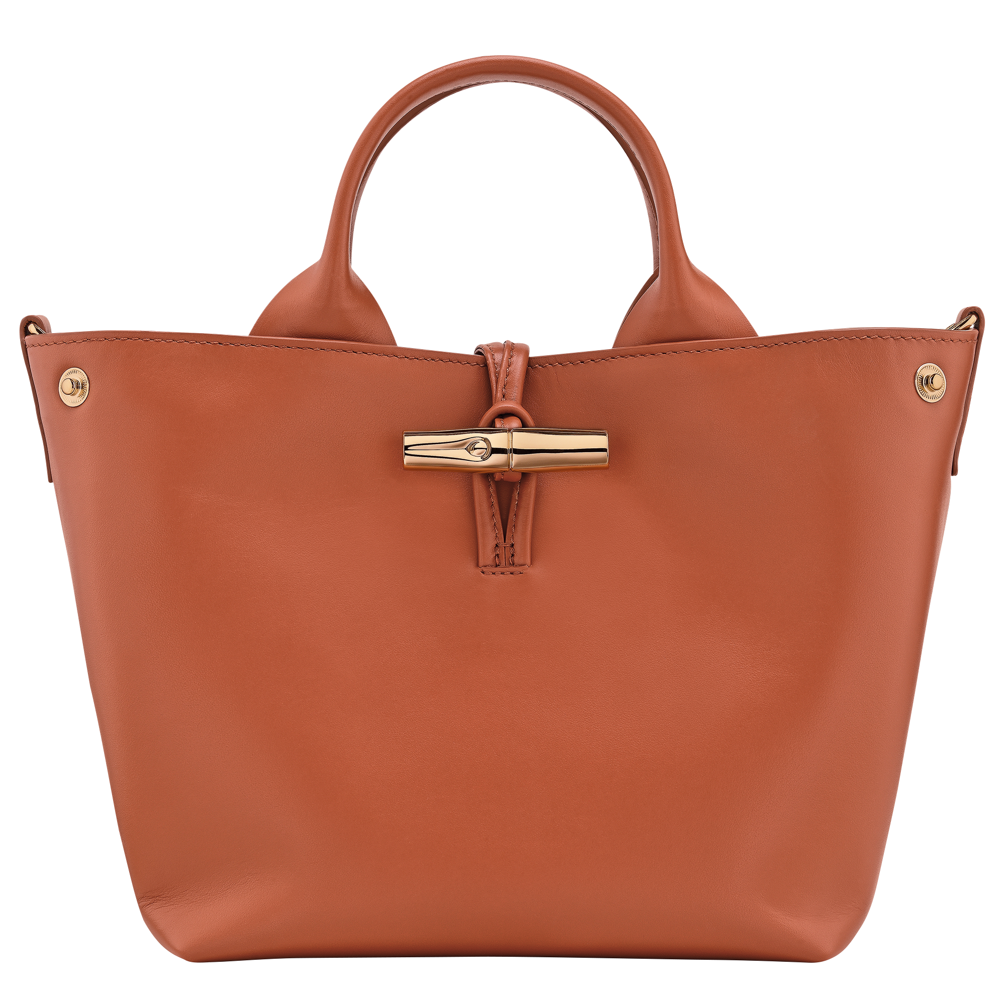 Handbag S, Bark - View 5 of
7 - zoom in Le Roseau Handbag S, Bark