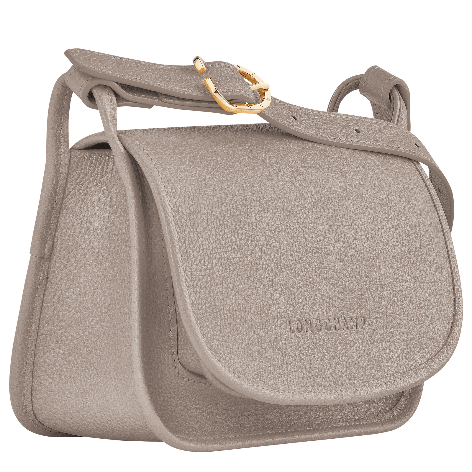 Longchamp le foulonne leather saddle bag 2025
