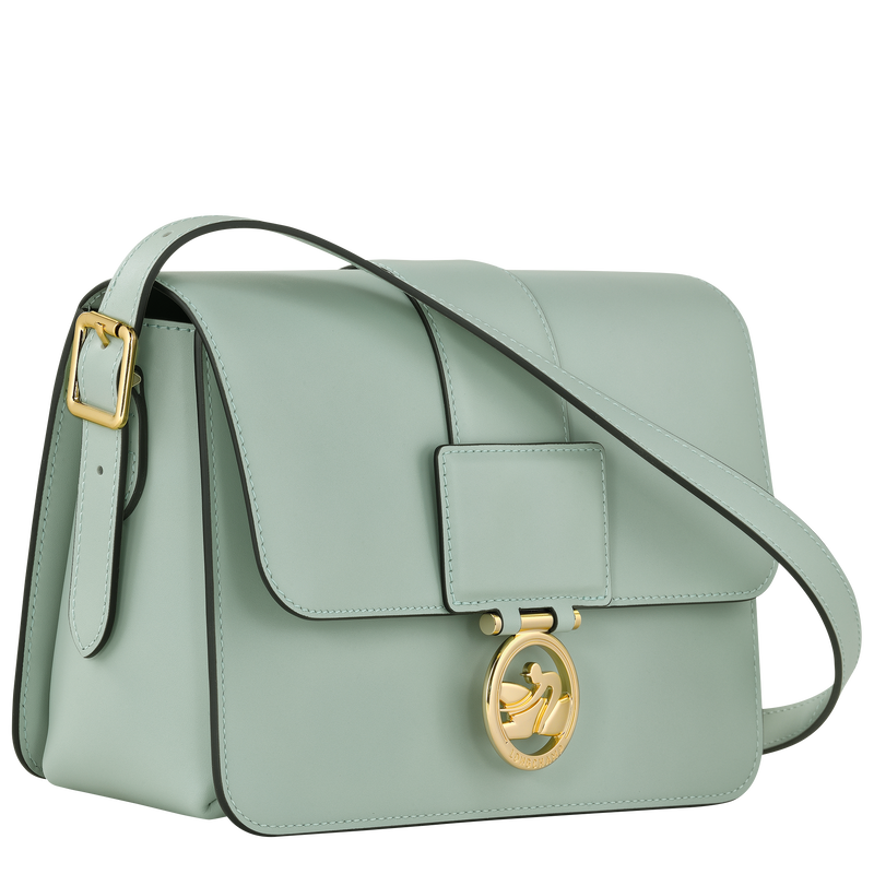 Box-Trot M Crossbody bag , Green-gray - Leather  - View 3 of  6