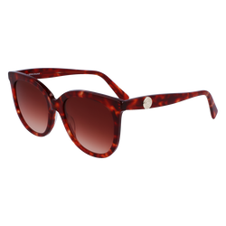 Gafas de sol , Otro - Concha Rojo
