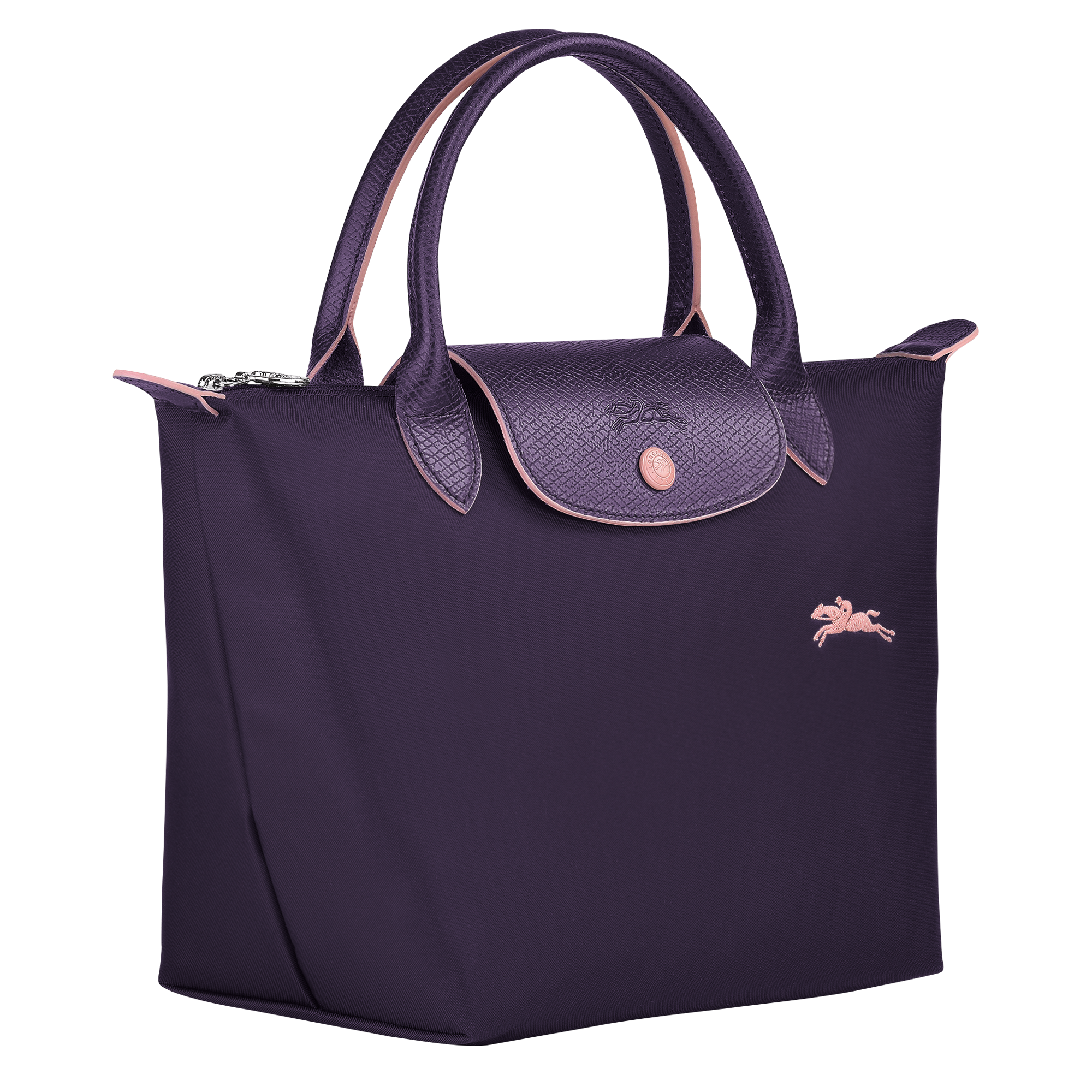 longchamp bilberry