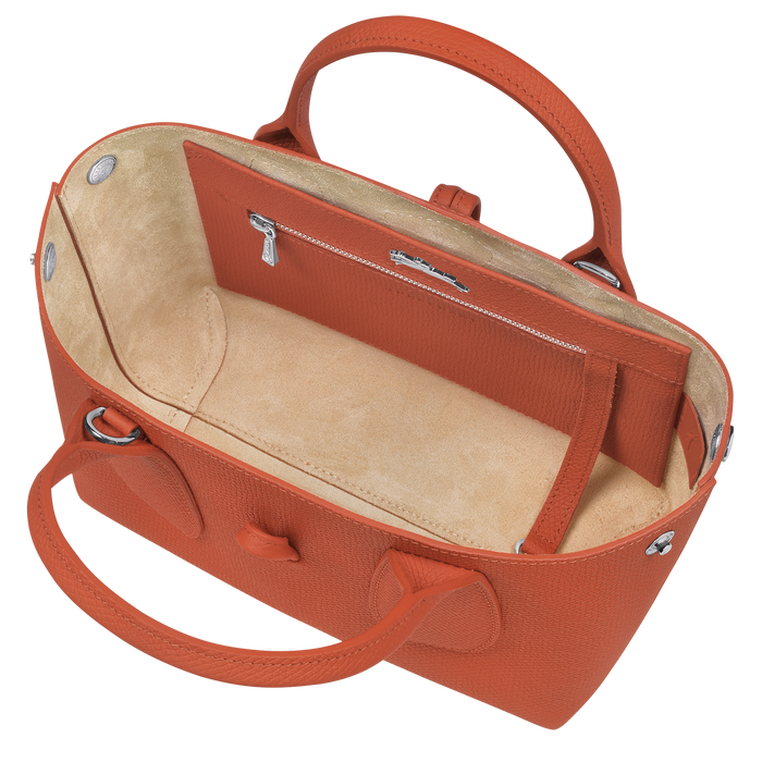 Top handle bag S Roseau Brick (10095HPN177) Longchamp US