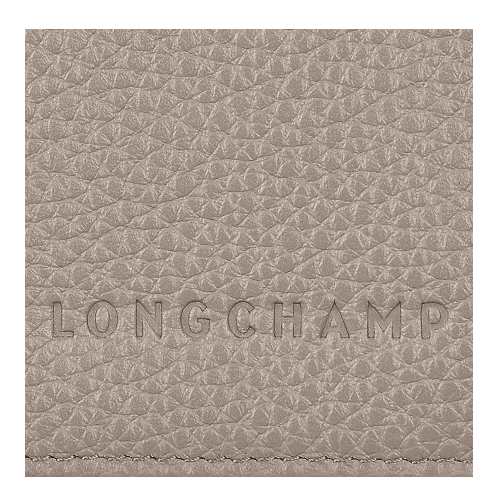 LONGCHAMP ル フローネ パスポートカバー タートルダヴ ル フローネ パスポートカバー タートルダヴ - レザー