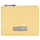 Yellow Chick