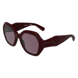 Sunglasses , Burgundy - OTHER