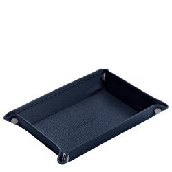 Coin tray