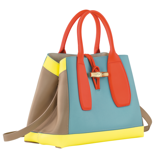 Roseau Handbag M, Multicolor