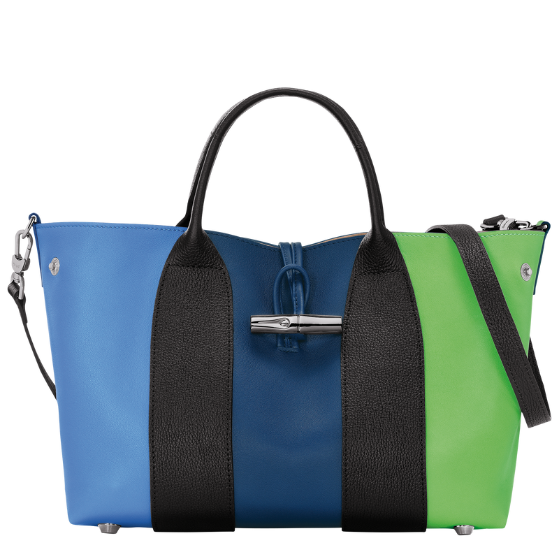 Roseau M Handbag , Multicolor - Leather  - View 5 of 6