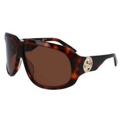 Fall/Winter 2023 Collection Sunglasses, Havana