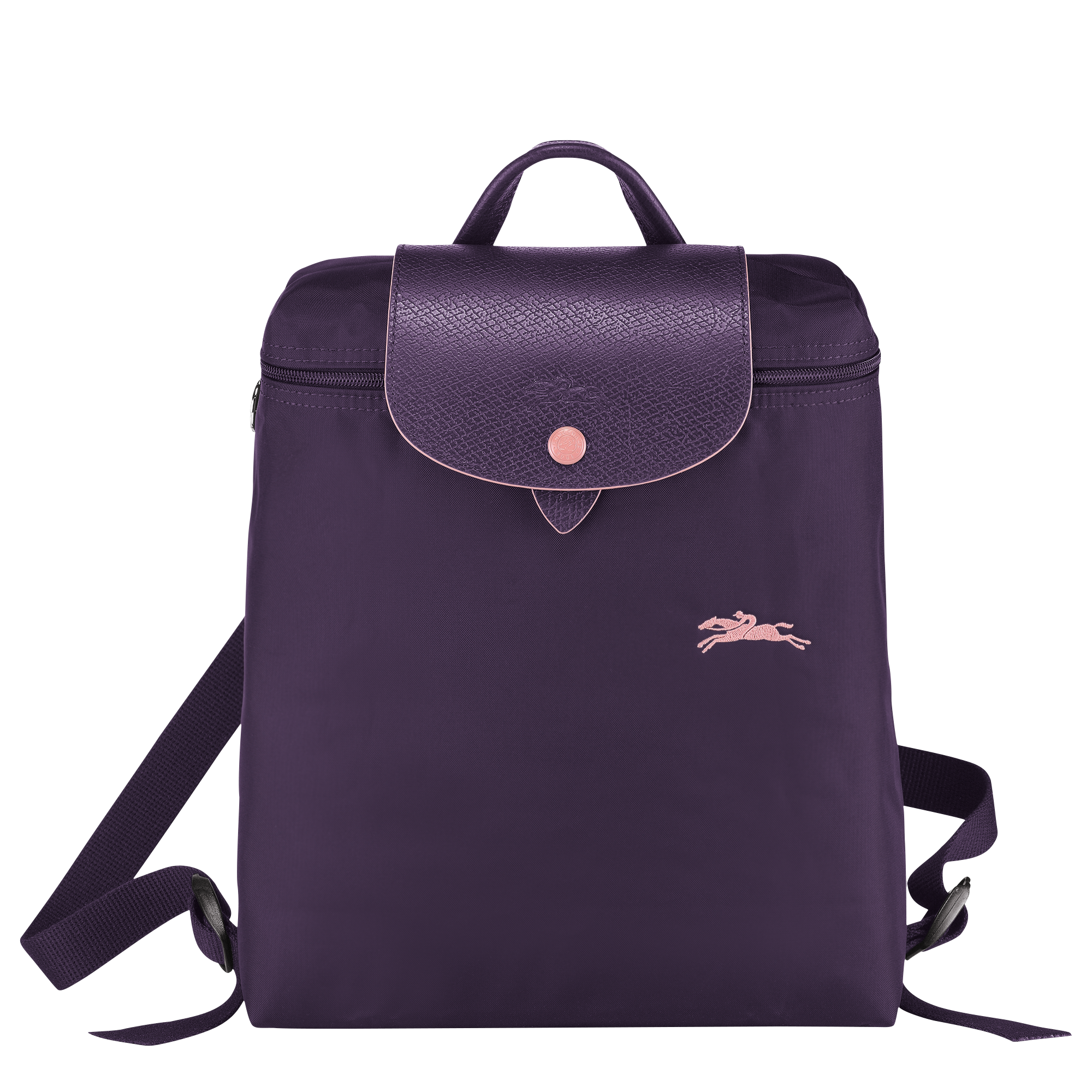 longchamp bilberry