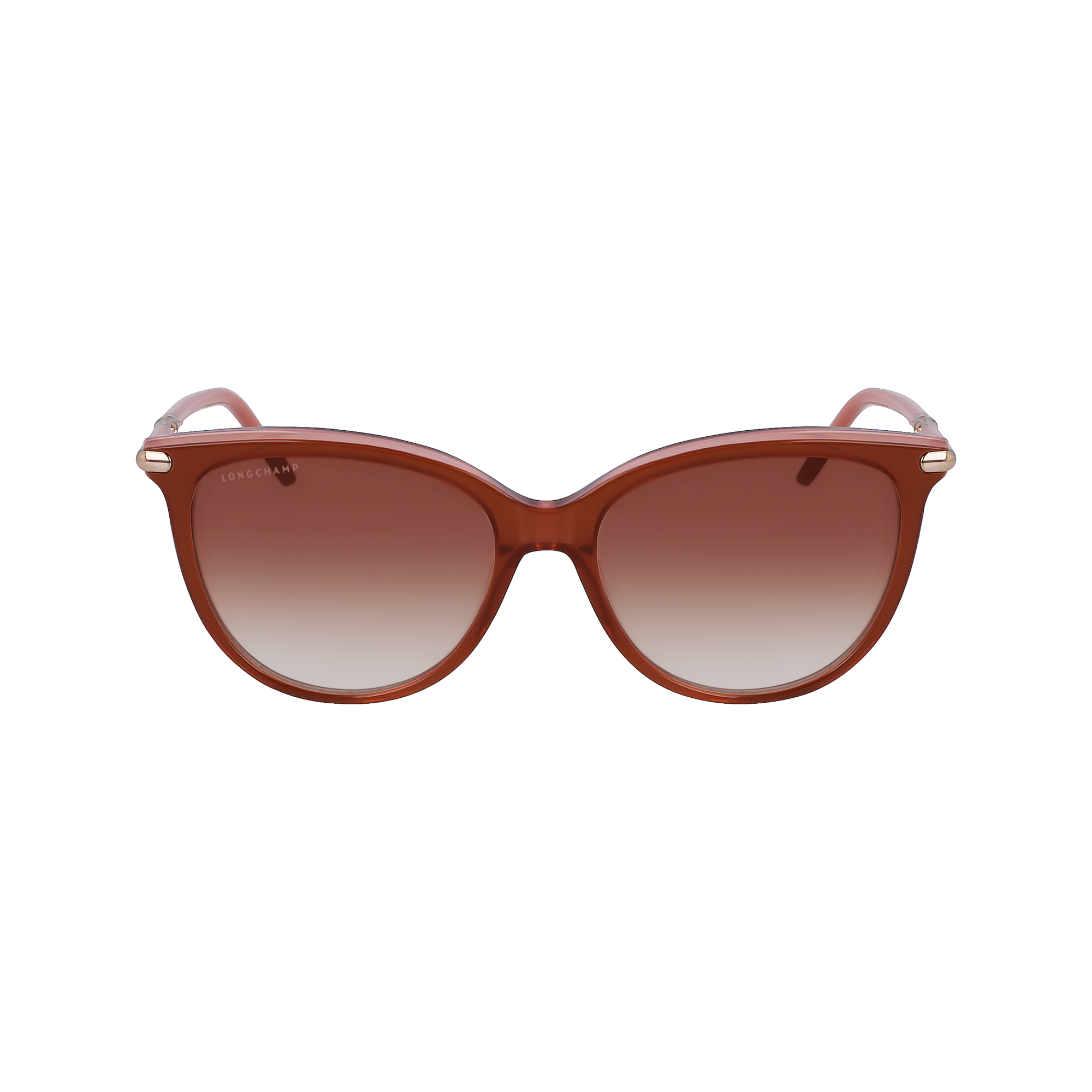 Sunglasses Brown rose OTHER (55163LUAE02) Longchamp PT