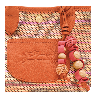 Le Pliage Collection Basket bag XS, Rainbow