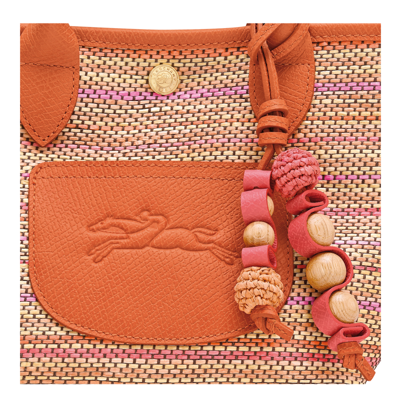 Le Pliage Collection XS Basket bag , Rainbow - Canvas  - View 5 of  5