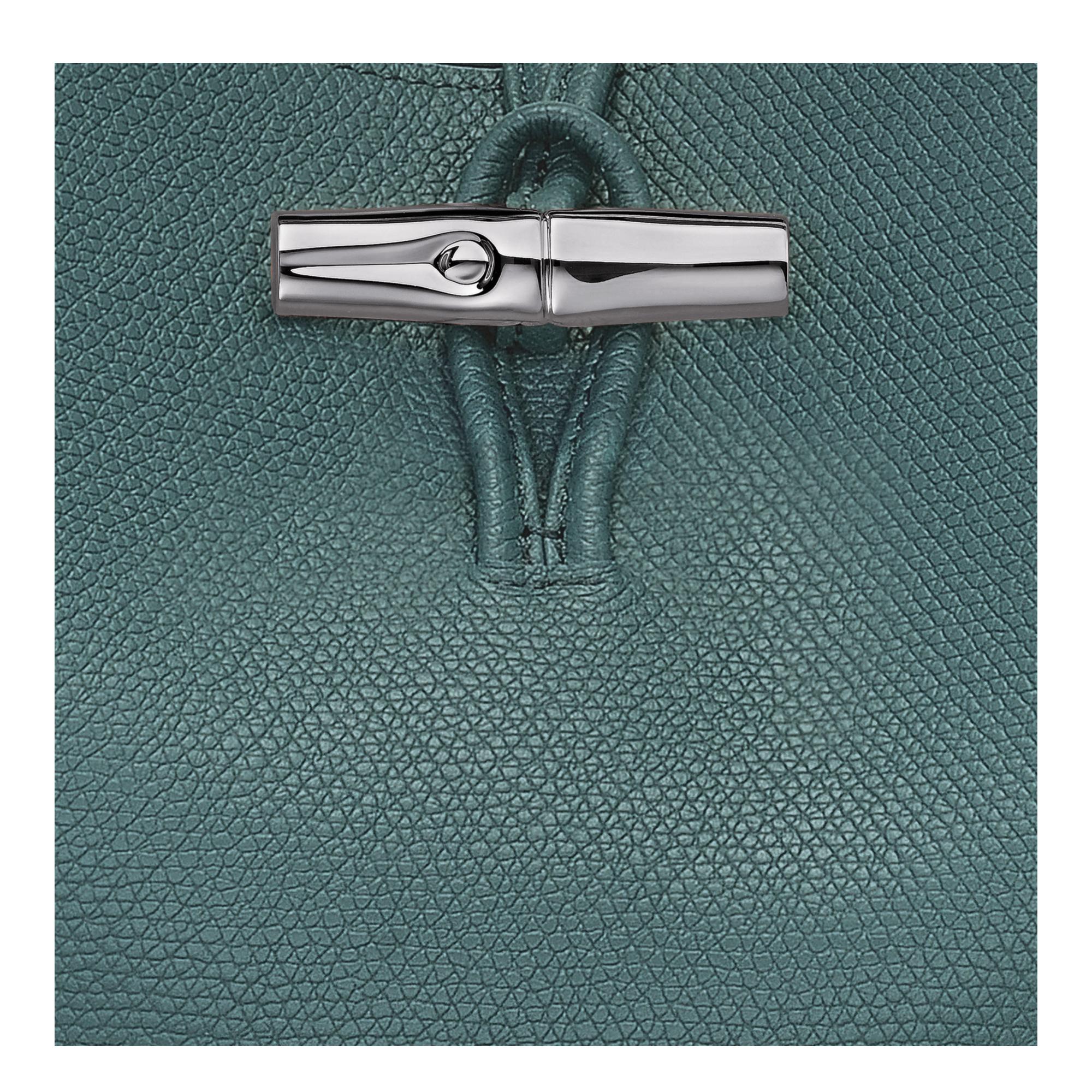 Shoulder bag M, Cedar - View 6 of
6 - zoom in Le Roseau Shoulder bag M, Cedar