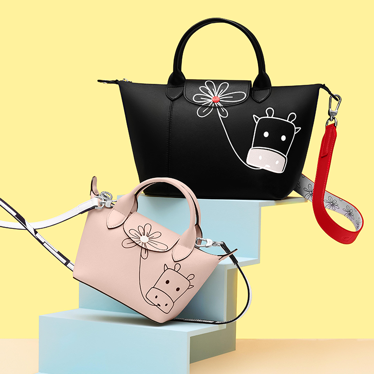 longchamp limited edition bag