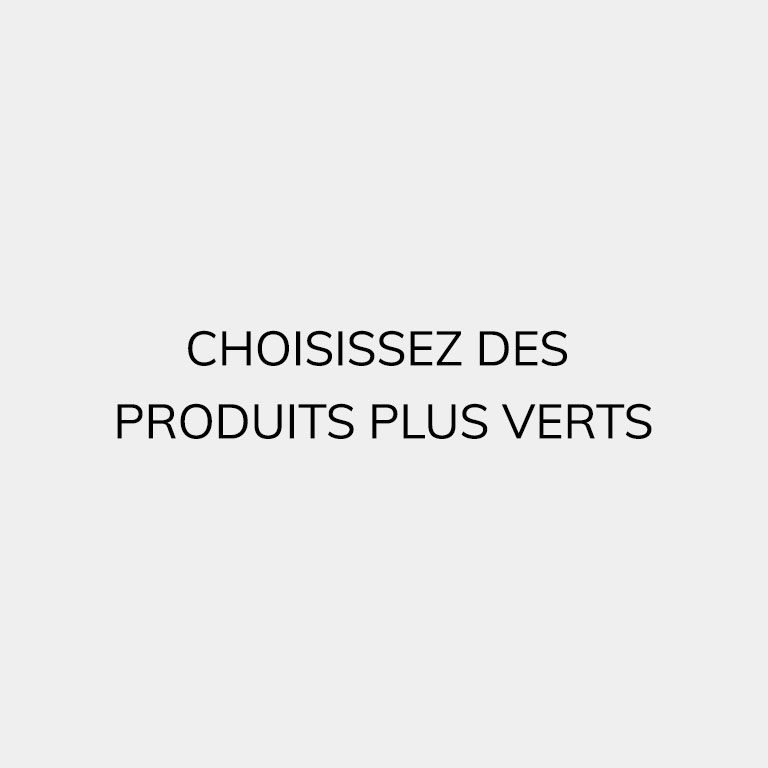 Le Pliage Green inspiration