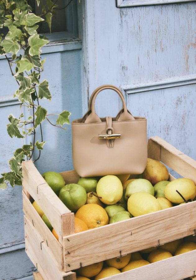 楽天市場】【2/5限定！ポイント6倍】 ロンシャン LONGCHAMP レディース トートバッグ LE PLIAGE GREEN M SHOPPING  BAG 10168 919 CHESTNUT チェスナット 404 FOREST フォレスト 479 TERRA テラ 813 GRAPHITE  グラファイト P66 ル プリアージュ グリーン M 小物 【2025春夏 